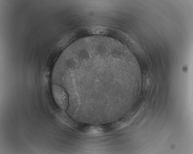 X0000116850263201001121226