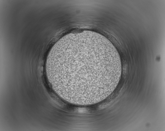 X0000116850264201001121226