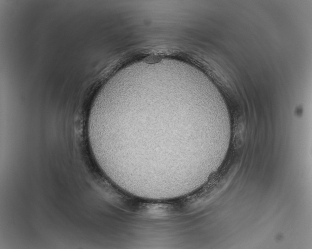 X0000116850268201001121226