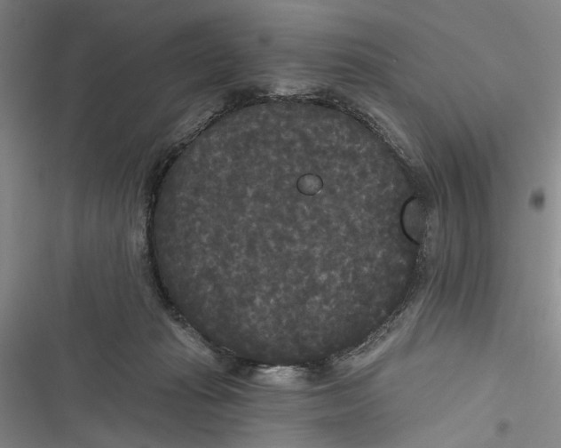 X0000116850269201001121226