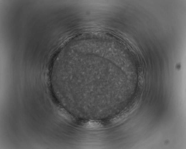 X0000116850270201001121226
