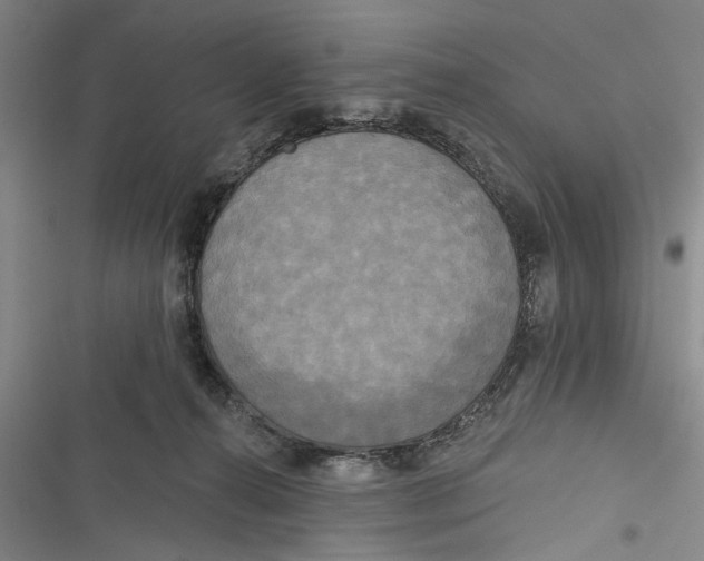 X0000116850272201001121226