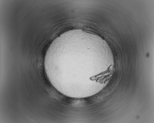 X0000116850274201001121226
