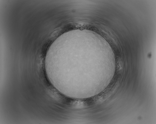 X0000116850276201001121226
