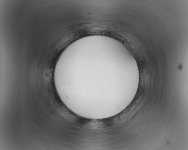 X0000116850278201001121226
