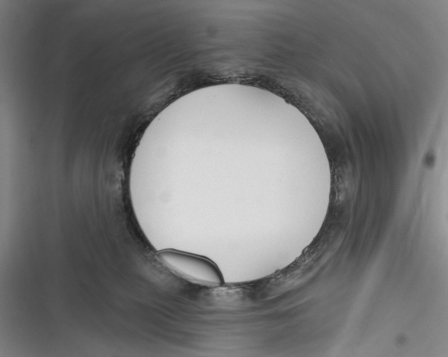 X0000116850279201001121226
