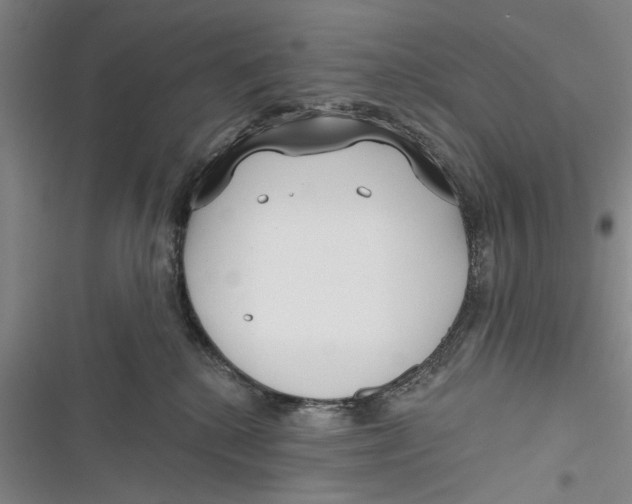 X0000116850280201001121226