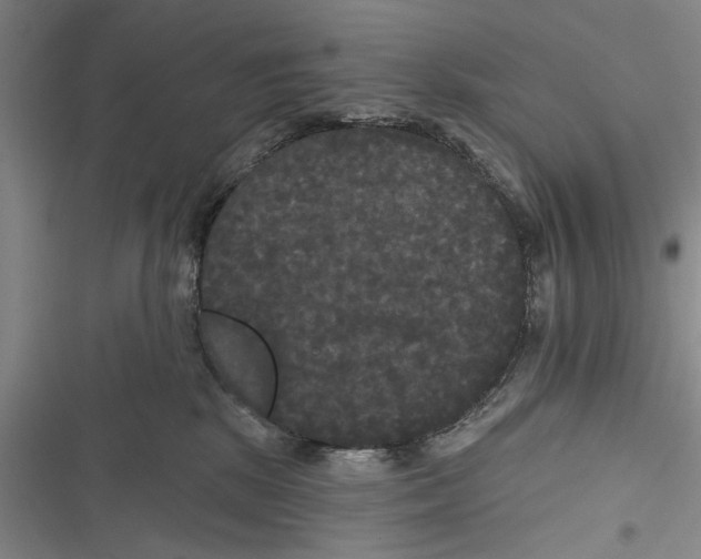 X0000116850281201001121226