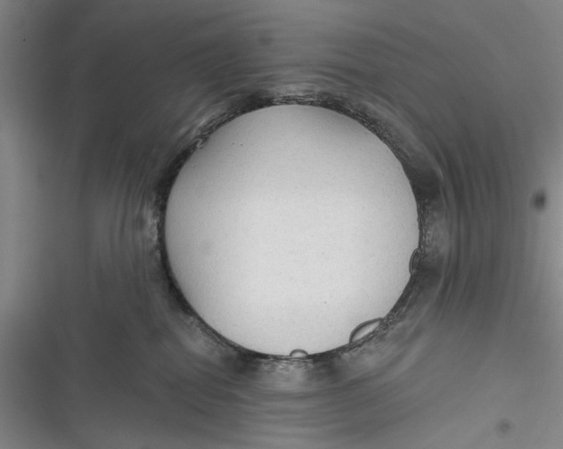 X0000116850282201001121226
