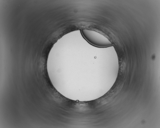 X0000116850283201001121226