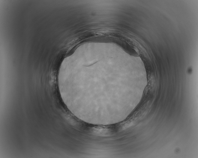 X0000116850284201001121226