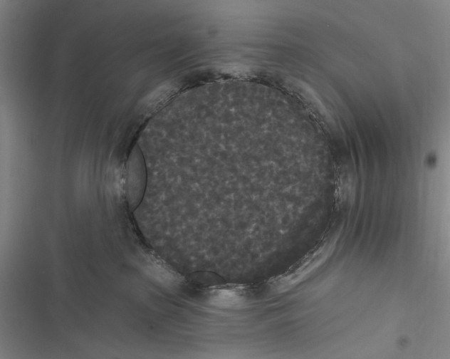 X0000116850285201001121226