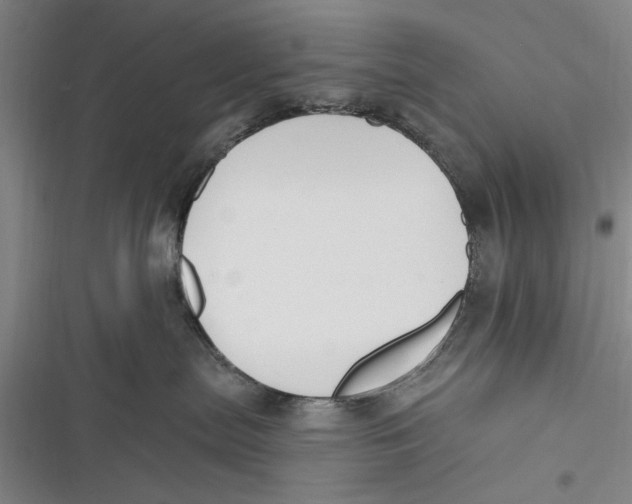X0000116850287201001121226