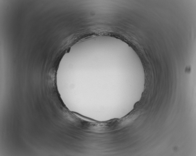 X0000116850288201001121226