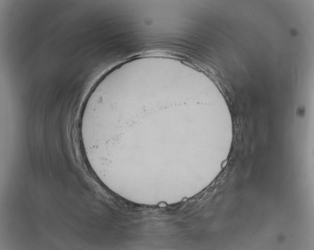 X0000116850289201001121225
