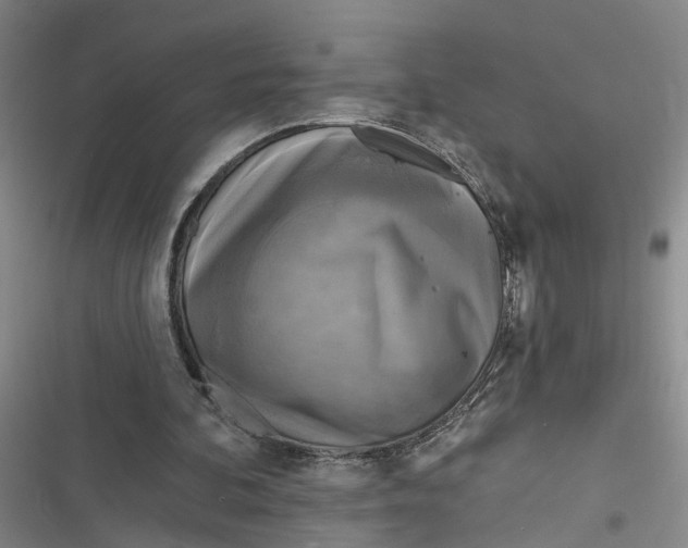 X0000116850292201001121225