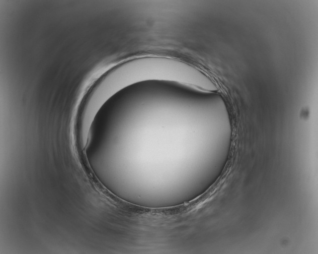 X0000116850294201001121225
