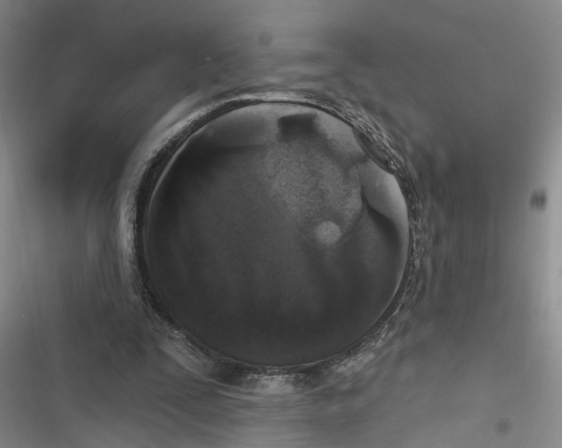 X0000116850295201001121225