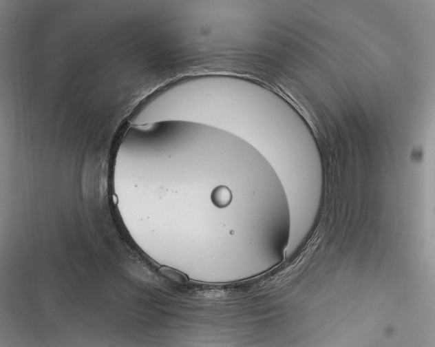 X0000116850301201001121225