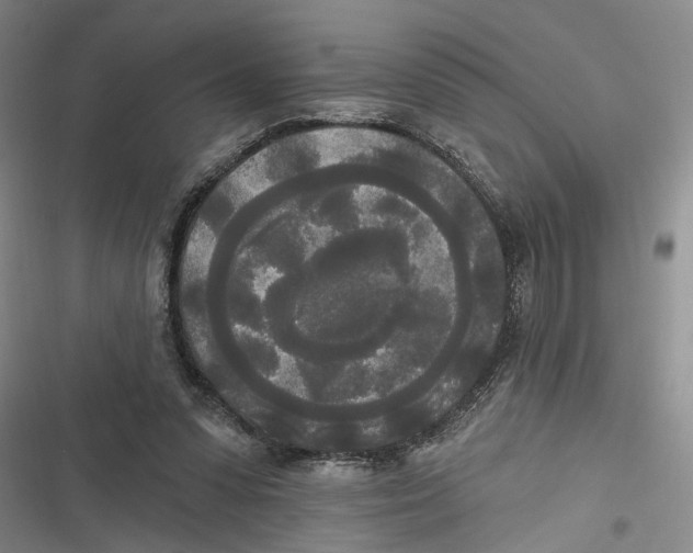 X0000116850303201001121225