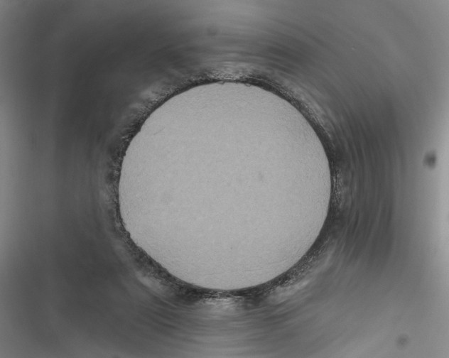 X0000116850307201001121225