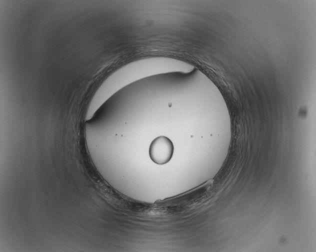 X0000116850308201001121225