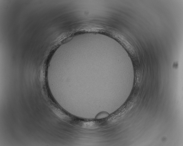 X0000116850309201001121225