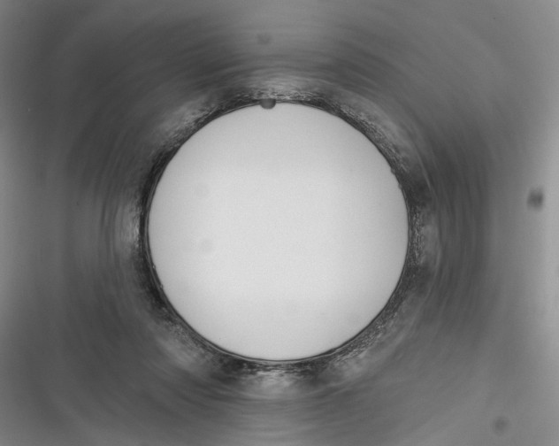X0000116850310201001121225