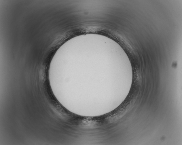 X0000116850311201001121225