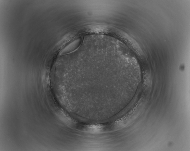 X0000116850313201001121225