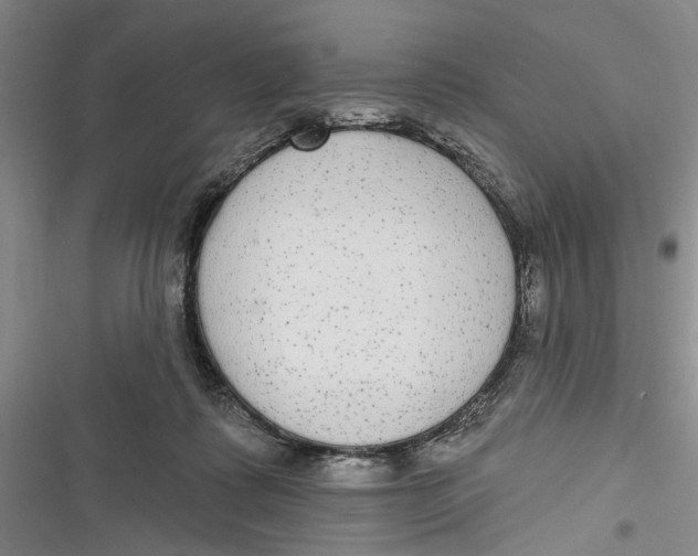 X0000116850315201001121225