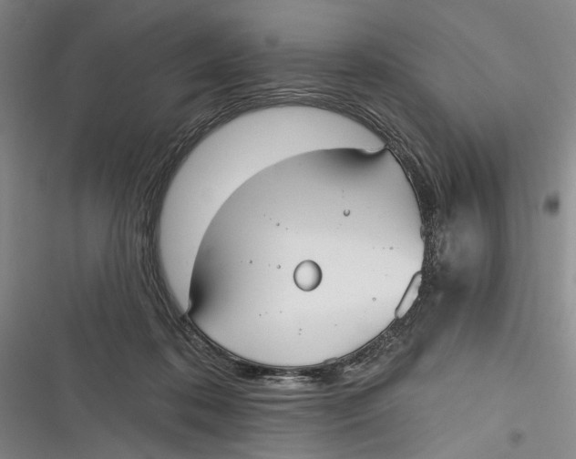 X0000116850316201001121225