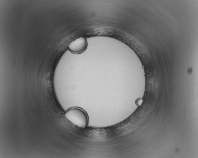 X0000116850317201001121225