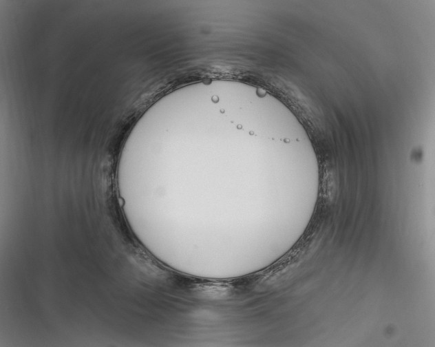 X0000116850318201001121225