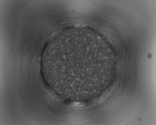 X0000116850319201001121225