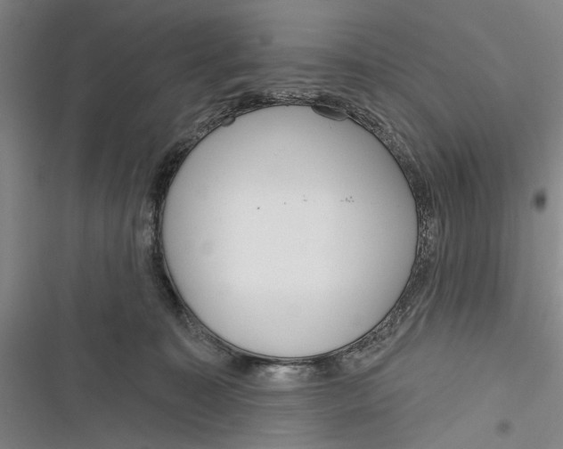 X0000116850323201001121225
