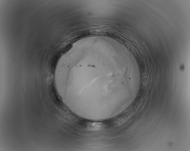 X0000116850324201001121225
