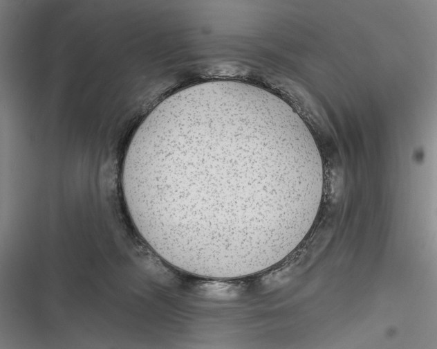 X0000116850326201001121225