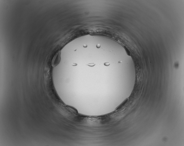 X0000116850327201001121225
