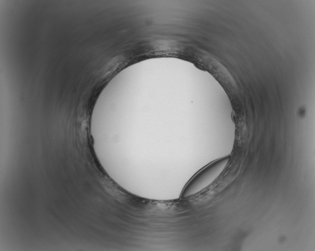 X0000116850329201001121225