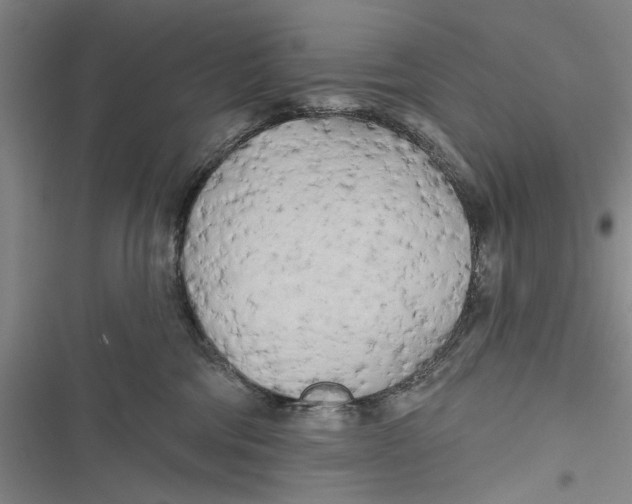 X0000116850330201001121225