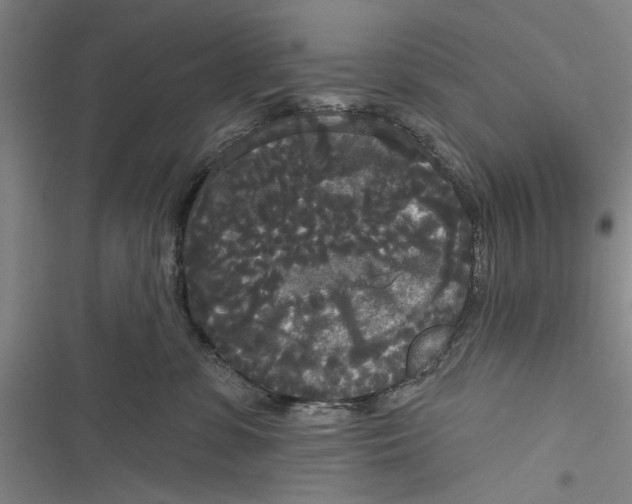X0000116850331201001121225