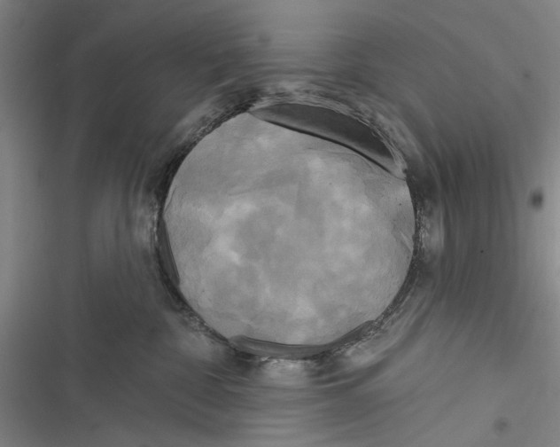 X0000116850332201001121225