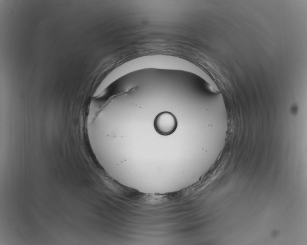 X0000116850333201001121225