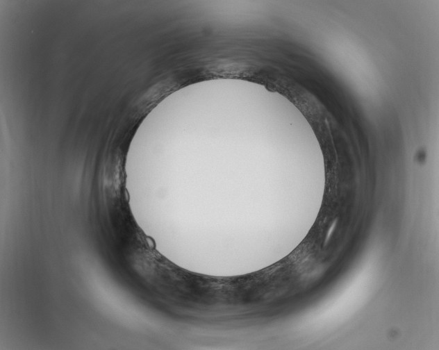 X0000116850334201001121225