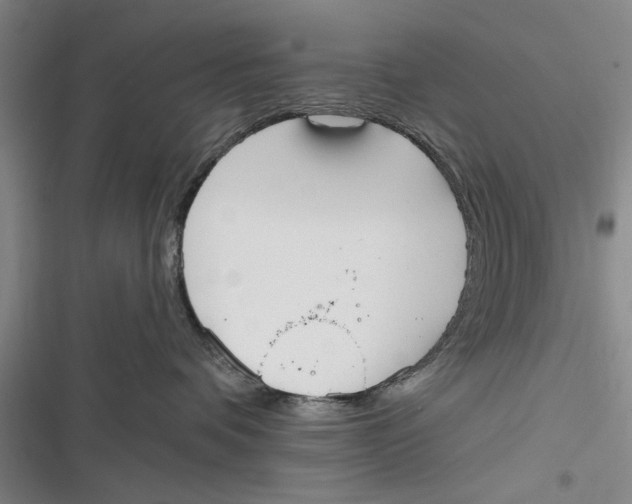X0000116850336201001121225