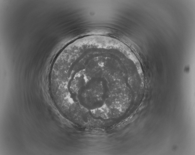 X0000116850337201001121224