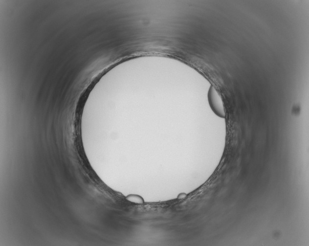X0000116850338201001121224