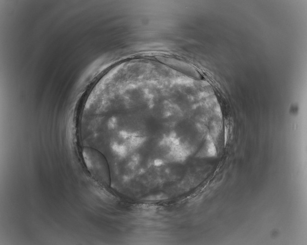 X0000116850339201001121224