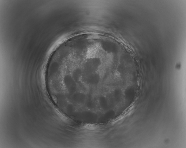 X0000116850341201001121224